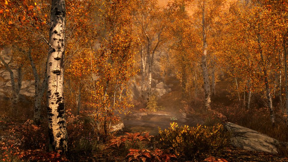The Elder Scrolls V: Skyrim screenshot 2